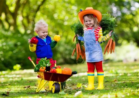How To Get Started With An Outdoor Sensory Garden Fun Gardening For Kids