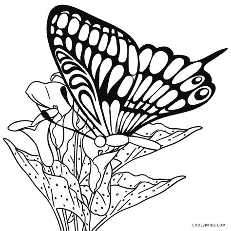 Butterfly of beautiful open wings. Printable Butterfly Coloring Pages For Kids | Cool2bKids