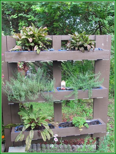 This Is How The Vertical Herb Garden Looks Today In Vertical Herb