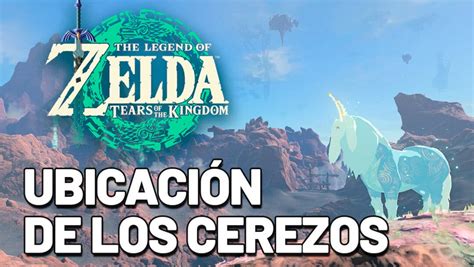 Zelda Tears of the Kingdom Donde están todos los cerezos en flor y