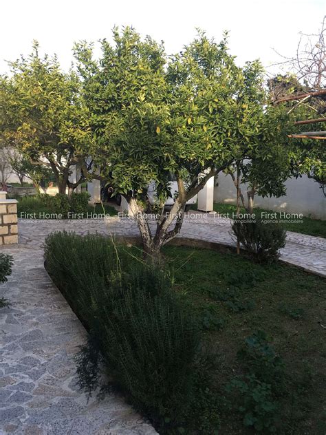 A Vendre Une Villa Avec Deux Studios à Carthage Byrsa First Home Real