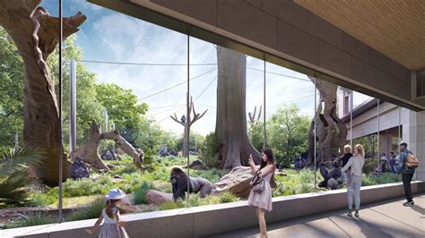 Brookfield Zoo To Construct New Primate Habitat Nbc Chicago
