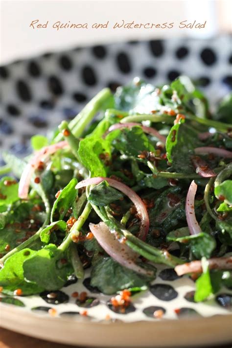 Red Quinoa And Watercress Salad Ever Open Sauce Red Quinoa
