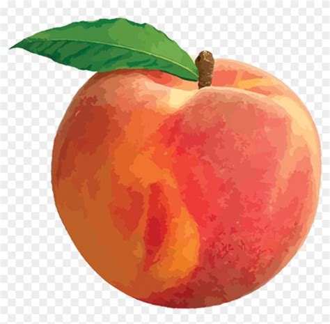 Free Clip Art Peach Free Transparent Png Clipart Images Download
