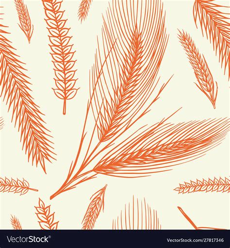 Vintage Wheat Seamless Pattern Rye Background Vector Image