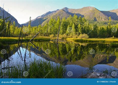 Scenic Mountain Pond Stock Photo Image Of Rural Beauty 17488236