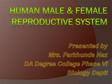 Ppt Human Male And Female Reproductive System Powerpoint Presentation