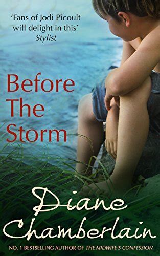 before the storm kindle edition by chamberlain diane literature and fiction kindle ebooks