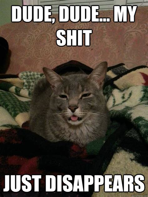 stoned cat memes quickmeme