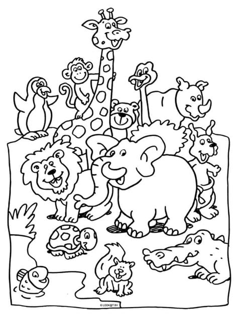 Coloring Pages Of Zoo Animals Dierentuindieren Kleurboek Dieren