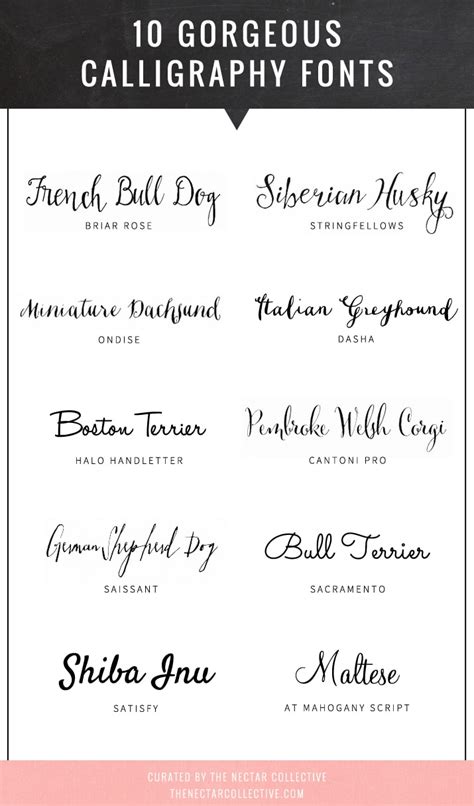 You can customize your experience with live font previews. 10 Gorgeous Calligraphy Fonts - Melyssa Griffin