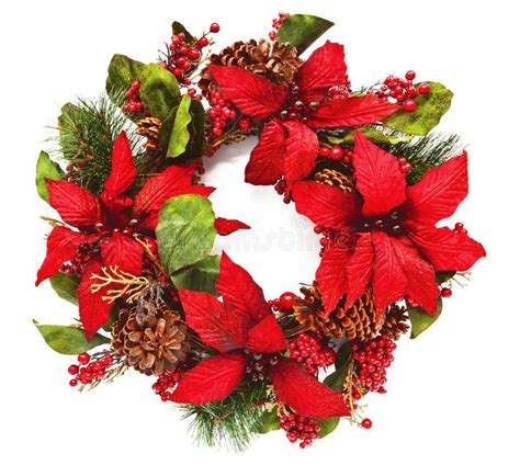 Christmas Wreath Poinsettia Flowers Stock Photo Image Of Bloom Hang