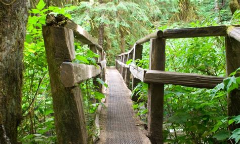Olympic National Park Trails And Maps Trail Guide Alltrips