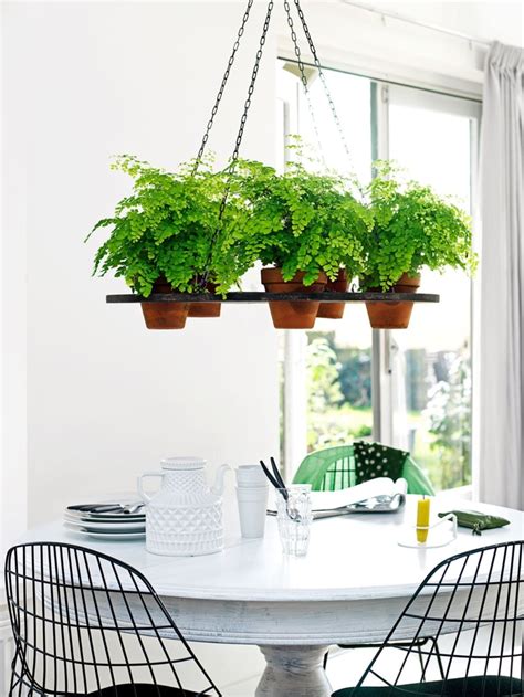 Ingresa a este post y mira ideas de una decoración con plantas de tendencia. Decorar con plantas de interior la casa