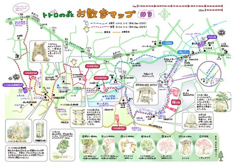 Hiking In The Totoro Forest Sayama Hills Tokorozawa ⋆ In Saitama