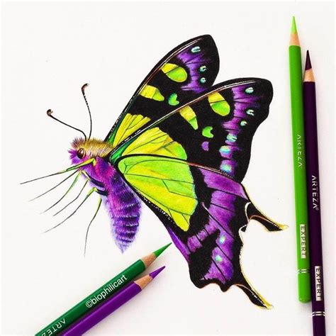 Brightly Colored Animal Pencil Drawings Color Pencil Sketch Color