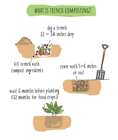 Trench Composting Ultimate Guide To No Fuss Compost