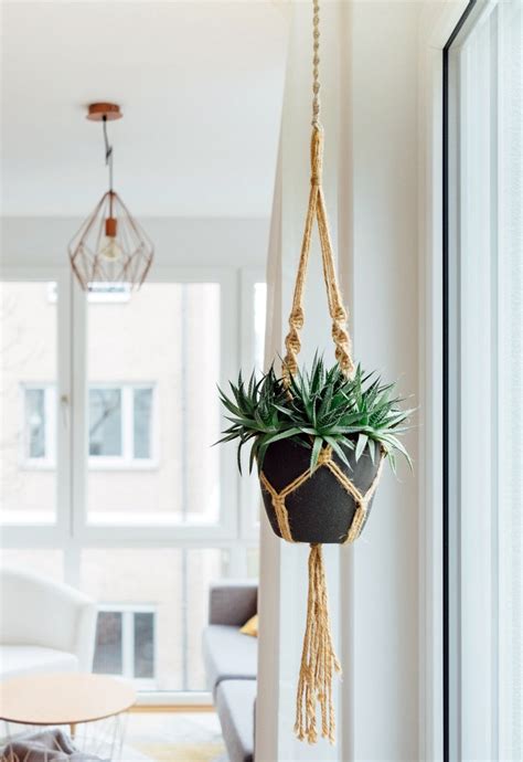 How To Hang Plants From The Ceiling Without Drilling 12 Creative Ways