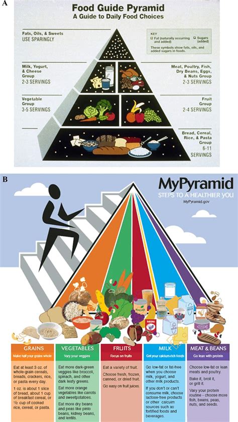 Food Pyramid In Tamil Food Pyramid The 5 Different Food Groups
