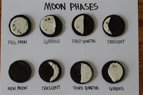 First Grade Lesson Stem Lab Lunar Phases Model Betterlesson