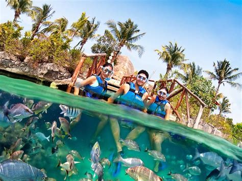 Xel Ha Tour Your Complete Guide To Activities And Prices