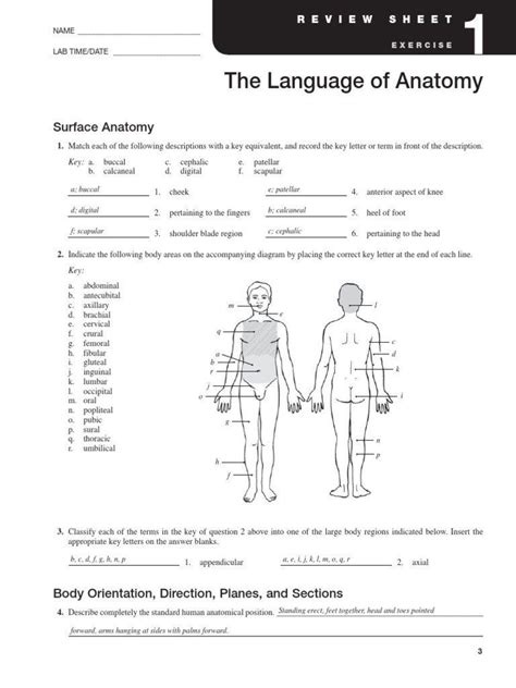 Directional Terms Practice Worksheets