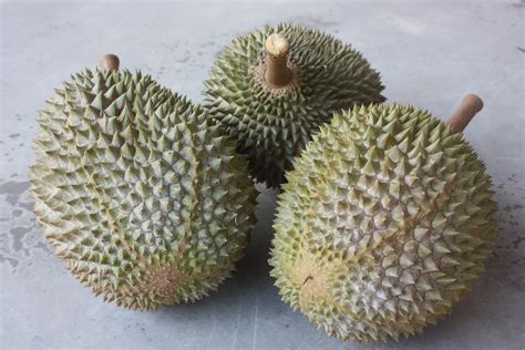 There are hundreds of durian types in malaysia and the numbers are growing. Malaysia Durian: Malaysia Durian