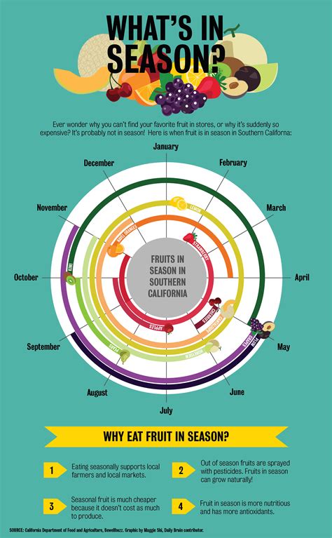 Graphic When Are Your Favorite Fruits In Season Daily Bruin