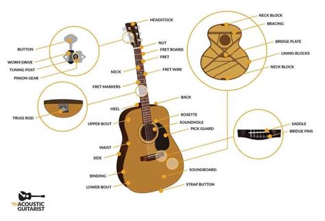 Anatomy Of An Acoustic Guitar The Complete Guide The Acoustic Guitarist