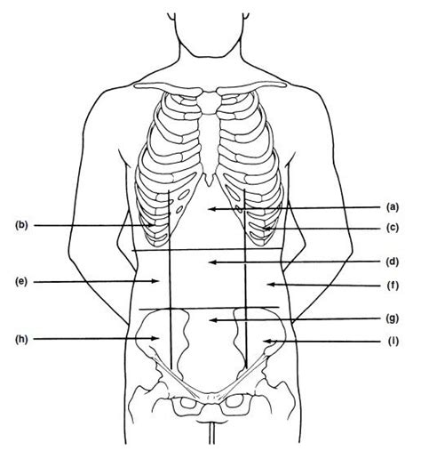 Print Exercise 1 The Language Of Anatomy Flashcards Easy Notecards