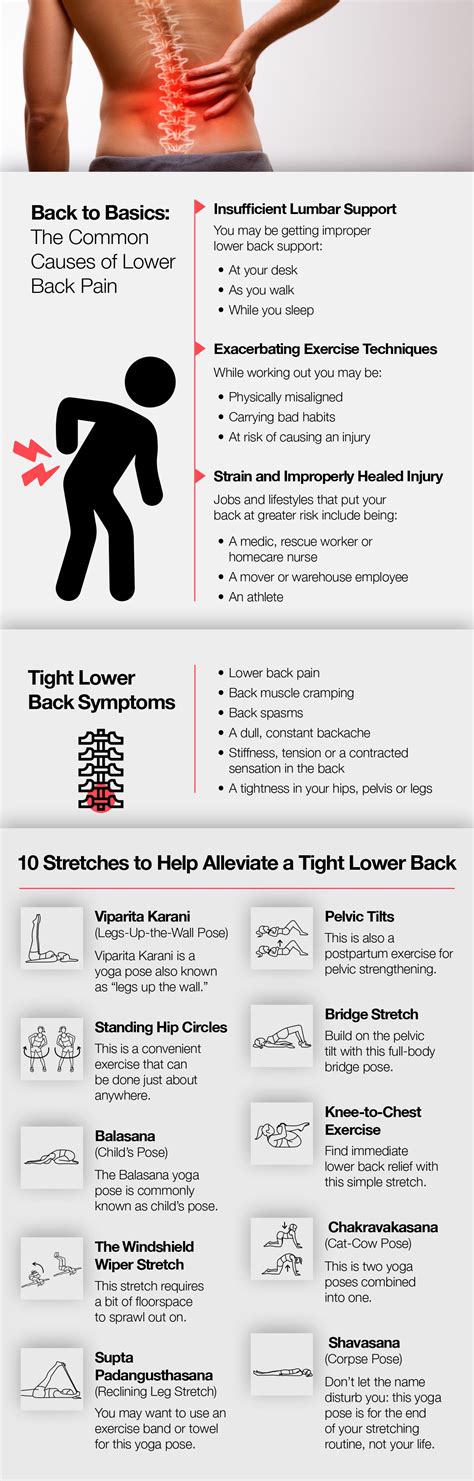 Stretches For Stiff Lower Back Off 64