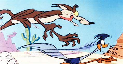 Road Runner And Wile E Coyote Cardboard Cutout Standee Standup Double
