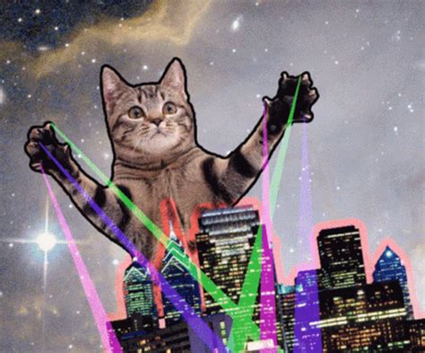 Space Cat Gif Space Cat Discover Share Gifs