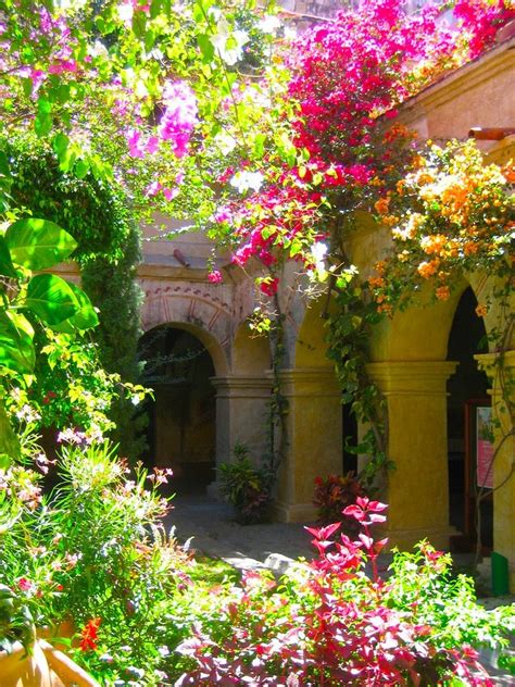 197 Best Mexican Courtyards And Gardens Images On Pinterest Backyard