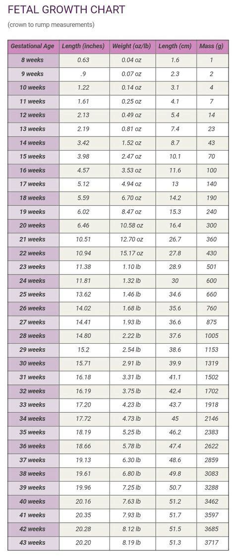 Fetal Weight Chart By Week In Kg
