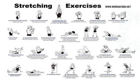 Stretching Exercises For Flexibility Healthy Fitness Workout
