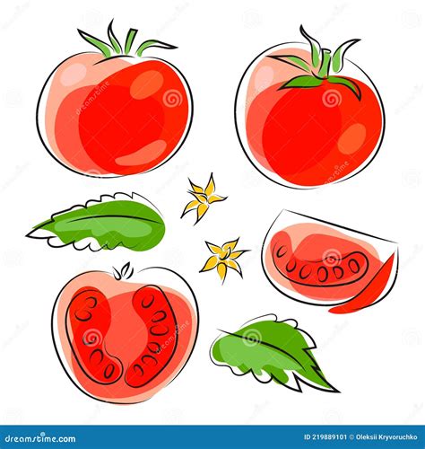 Conjunto De Tomate Rojo Entero Y Hojas En Trozos Y Flores De Tomate