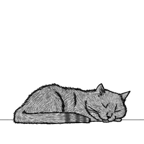 Drawings Of Cats Laying Down Cat Meme Stock Pictures And Photos