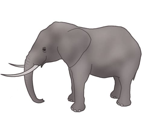 Elephant Image Clipart