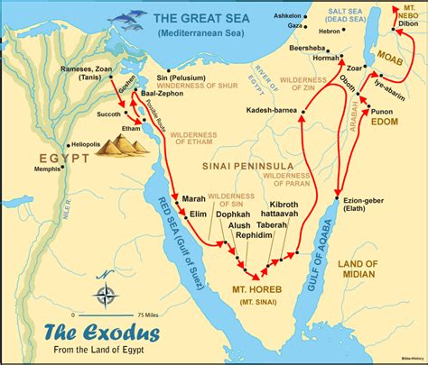 Describe The Route And The Events Of The Exodus Jaylan Has Cochran