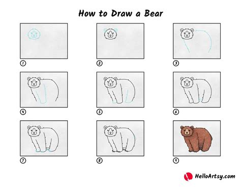 How To Draw A Bear Helloartsy