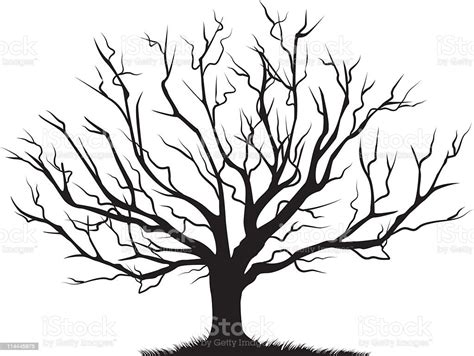 Deciduous Bare Tree Empty Branches Black Silhouette Stok Vektör Sanatı
