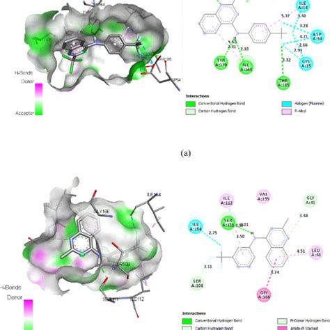 2 D And 3 D Docking Poses Showing Interactions Of Compounds 22 And 38