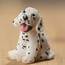 Miniature Dalmatian Puppy  Animal Miniatures Dollhouse