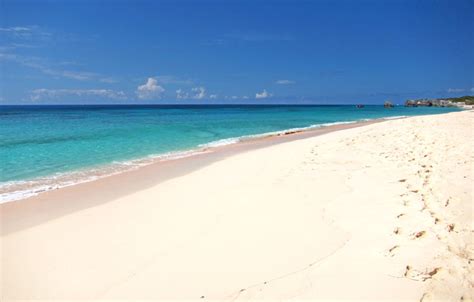 1,236 km (768 mi) south of cape sable island, nova scotia; Recommended Bermuda Snorkeling Beaches & Boat Tours