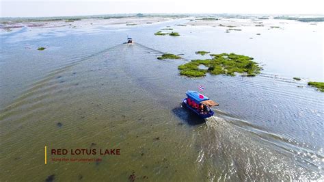 Red Lotus Lake Kumphawapi Thailand 4k Youtube
