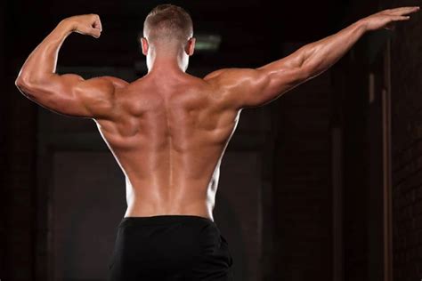 Muscular Man Flexing Muscles Rear Double Biceps Pose ⬇ Stock Photo