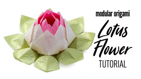 Modular Origami Lotus Flower Tutorial ♥︎ Diy ♥︎ Youtube