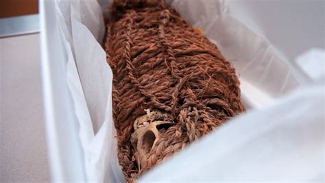 2000 Year Old Mummy Leaving Texas Museum Headed For South America