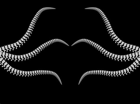 Tentacle Test By Fremox On Dribbble